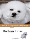 Bichon Frise@
